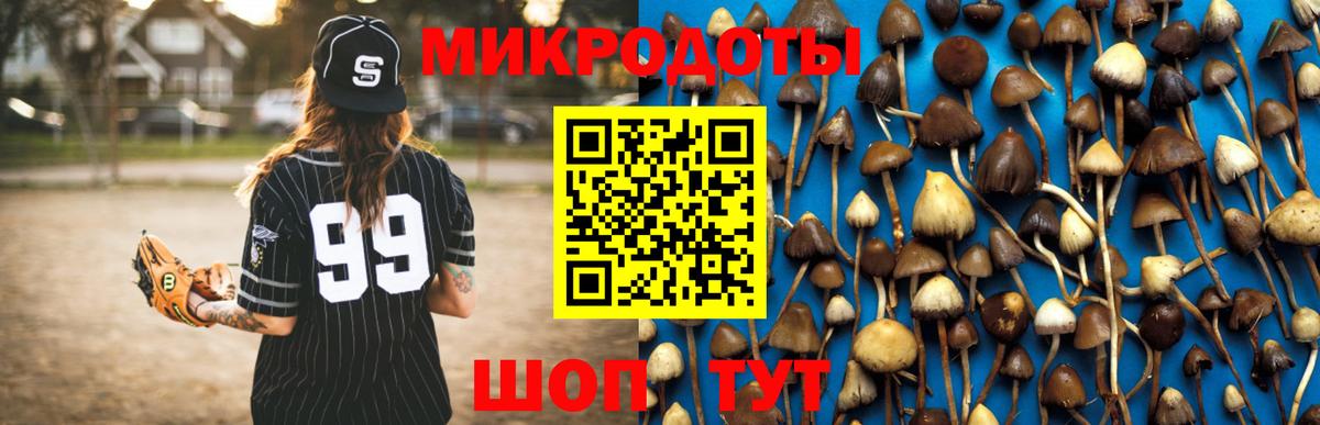Псилоцибиновые грибы Psilocybine cubensis Самара
